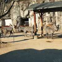 A Day Trip to Beautiful Daejon O-World