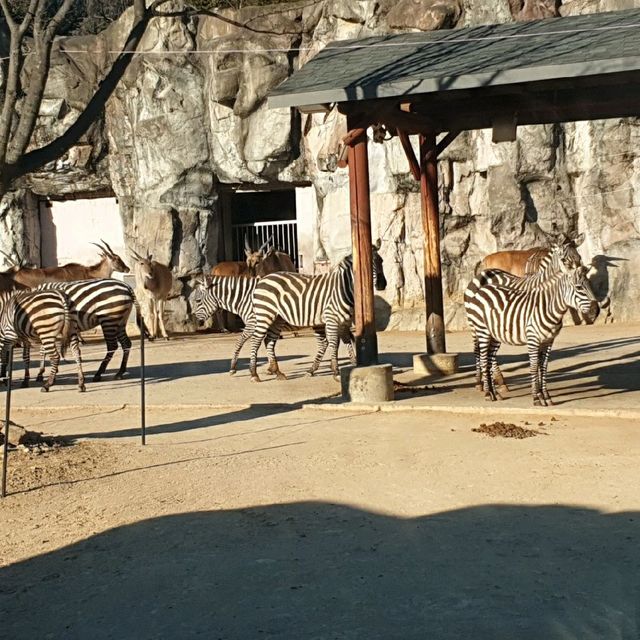 A Day Trip to Beautiful Daejon O-World