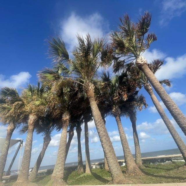 GALVESTON BEACH VIBES