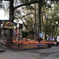 美國｜喬治亞州 最刺激的雲霄飛車樂園