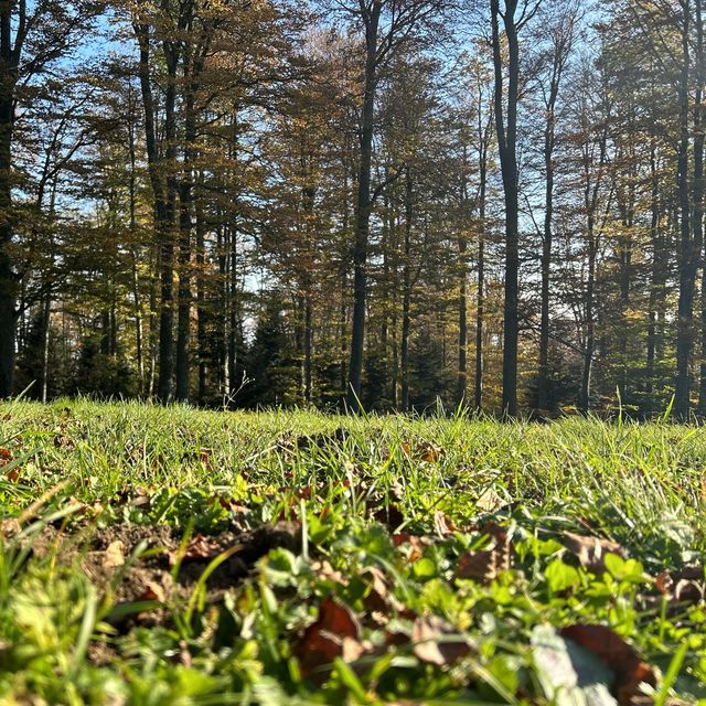 Maksimirska Park
