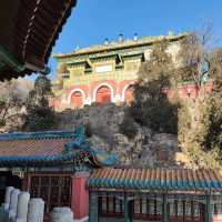 A winter trip to the Summer Palace 