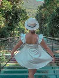 Tropical Rainforest Guide for Yalong Bay 