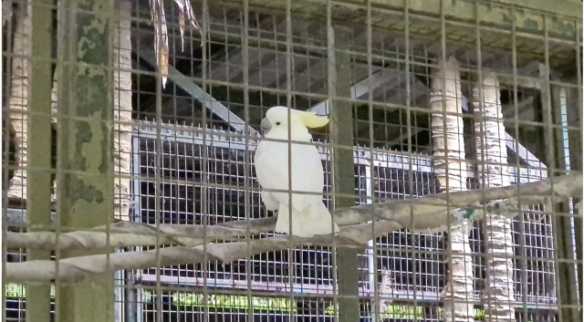 Great experience in Lok KaWi wild life park 