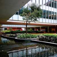 参观香港大学