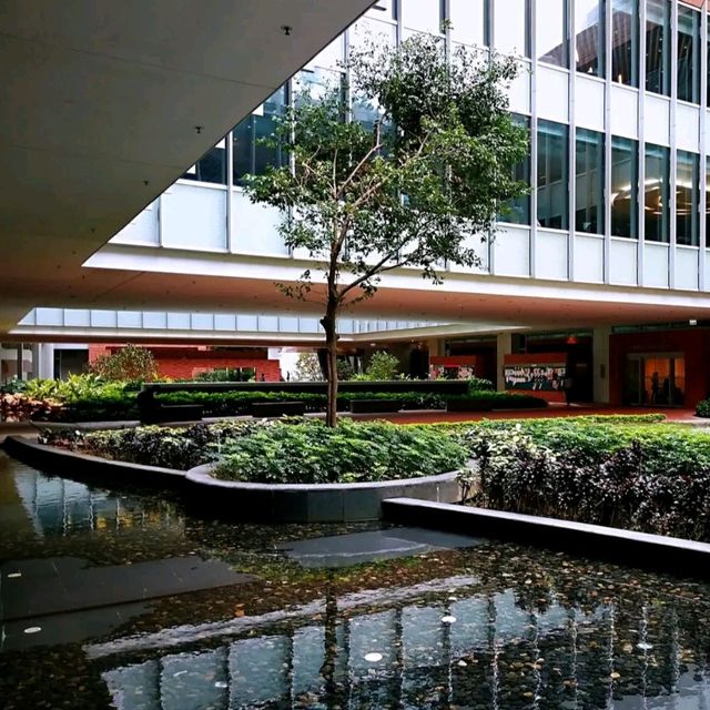 参观香港大学