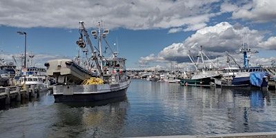PAWA Paints Fishermen's Terminal 2024 | Fishermen's Terminal