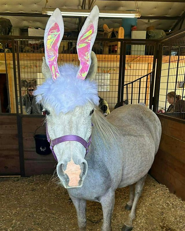 Easter at Unbridled Horse Therapy. | Unbridled Horse Therapy