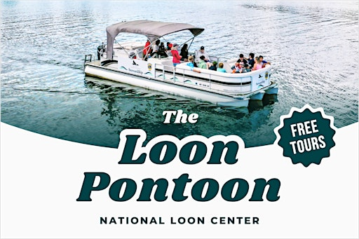 Loon Pontoon Tours - National Loon Center | Cross Lake Recreation Area