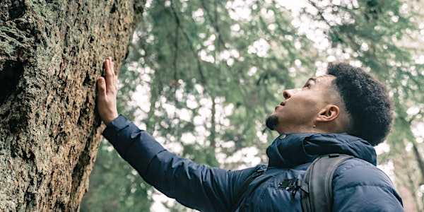 'Sunlit Canopy' Forest Bathing - Windsor Great Park, Sunday 6 July | Windsor Great Park Environmental Centre