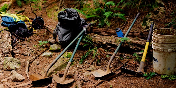 Last day of school Pizza and Trail Building Party | North Shore Mountain Bike Association