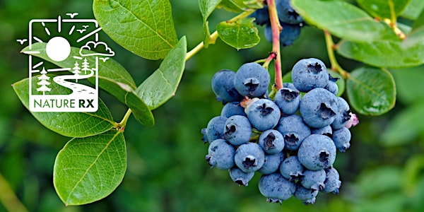 Nature Rx Mindful Senses Series | Smell & Taste: Greenfield Berry Farm Tour | Greenfield Berry Farm