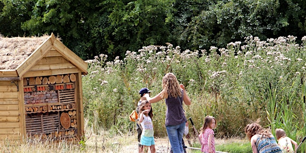Home Educators' Day  'Ponds Special' - Woolley Firs, Maidenhead, Thursday 11 September | Woolley Firs Environmental Education Centre
