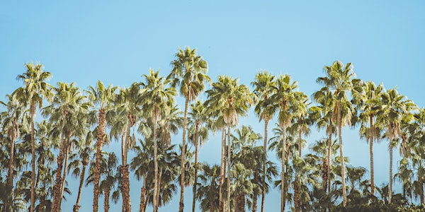 Palms Workshop | UF IFAS Extension Orange County