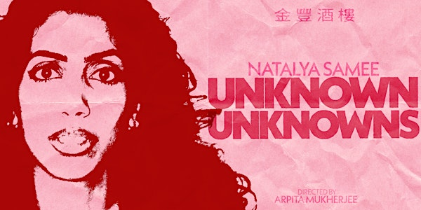 Natalya Samee: Unknown Unknowns | littlefield