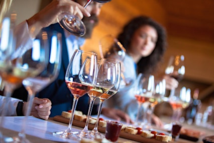 TW Future Leaders – Wine Tasting and Vineyard Tour at Balfour Winery | Balfour Winery