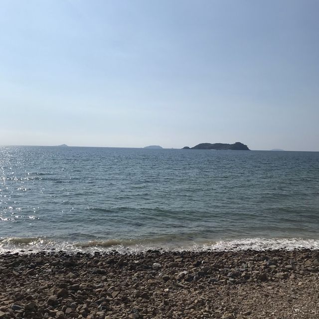 [충청남도] 가을 차박은 어디로? 샛별해수욕장✨