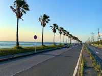 【千葉観光】千葉でカリフォルニア気分！？