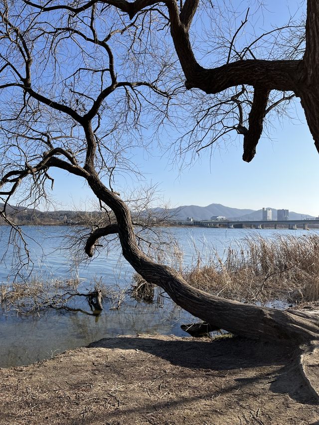 겨울에도 아름다운 남양주 :: 물의 정원