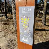 [경주] 입장하는 순간 신라, 대릉원