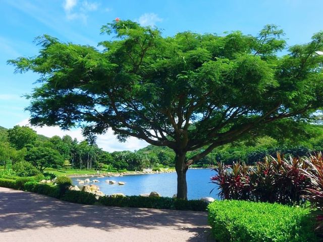 迪欣湖