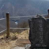 한라산이 다보이는 개꿀 오름 [어승생악]