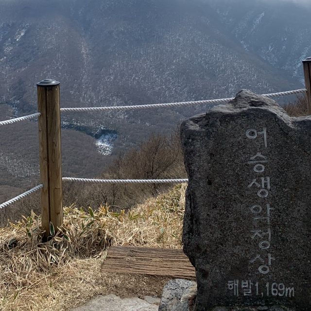 한라산이 다보이는 개꿀 오름 [어승생악]