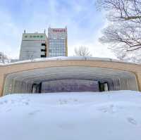 冬の札幌大通り公園の雪道散策