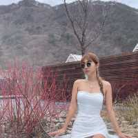 웰니스 호캉스란 이런 것! 파크로쉬 리조트앤웰니스 힐링 모먼트🍃