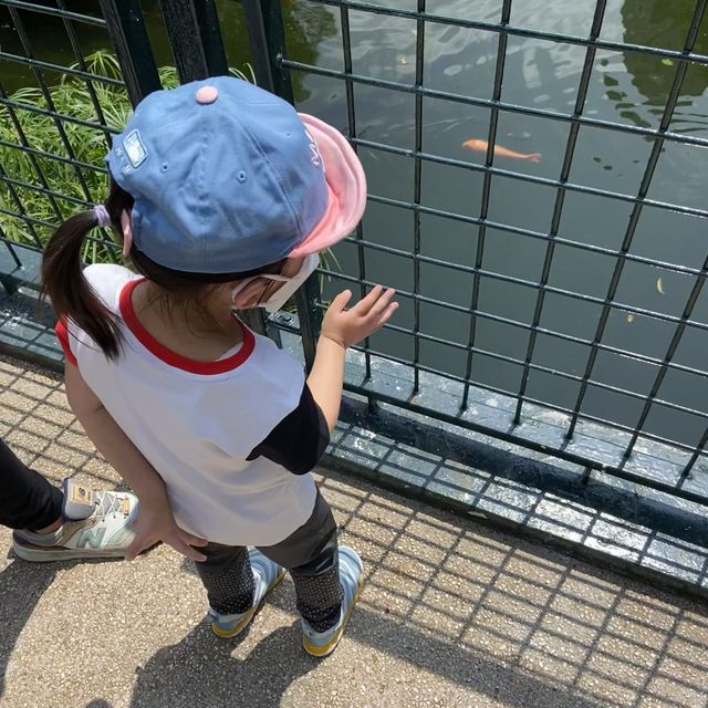 久違的公園放電 📍尖沙咀