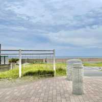 江ノ島　紫陽花と海