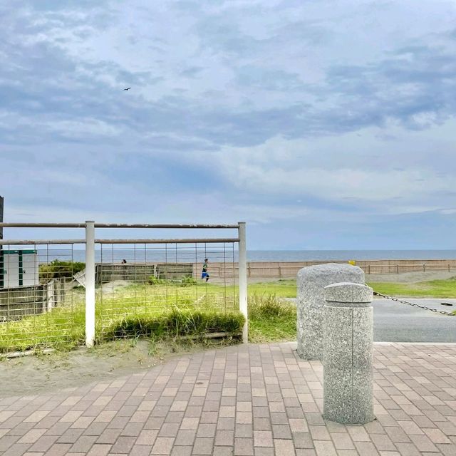 江ノ島　紫陽花と海