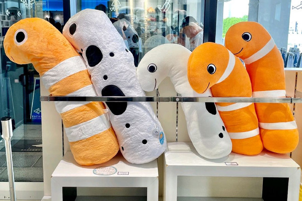チンアナゴ　セット　すみだ水族館限定 m42275992172_1.jpg?1731201722