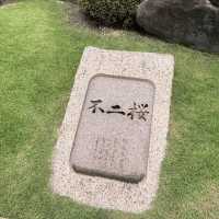 京都の五重塔といったらココ東寺