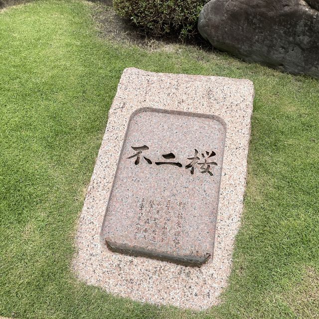 京都の五重塔といったらココ東寺