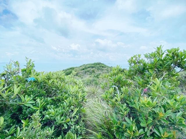 龍蝦灣郊遊徑