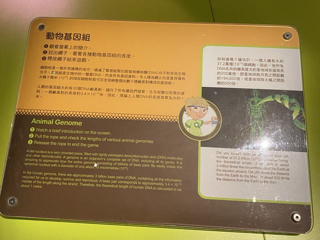 演化時間廊