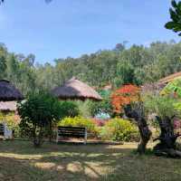A should visit place in Nha Trang
