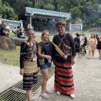 Rainforest World Music Festival