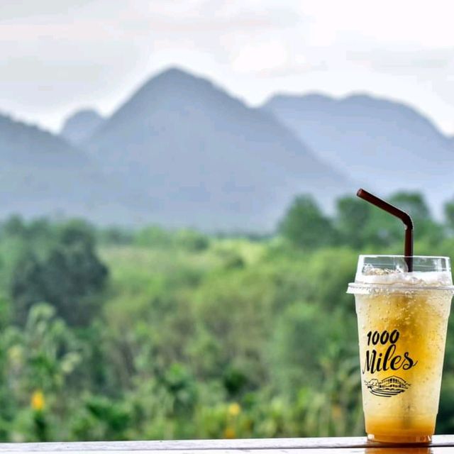 คาเฟ่ไรชา