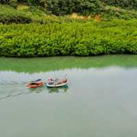 Mangrove Paradise on Koh Chang