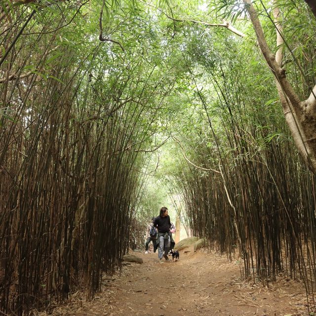 超級輕鬆行山路線