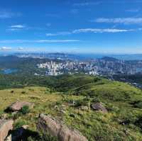 全香港最高的山峰