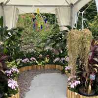 Garden design competition in Botanic Garden
