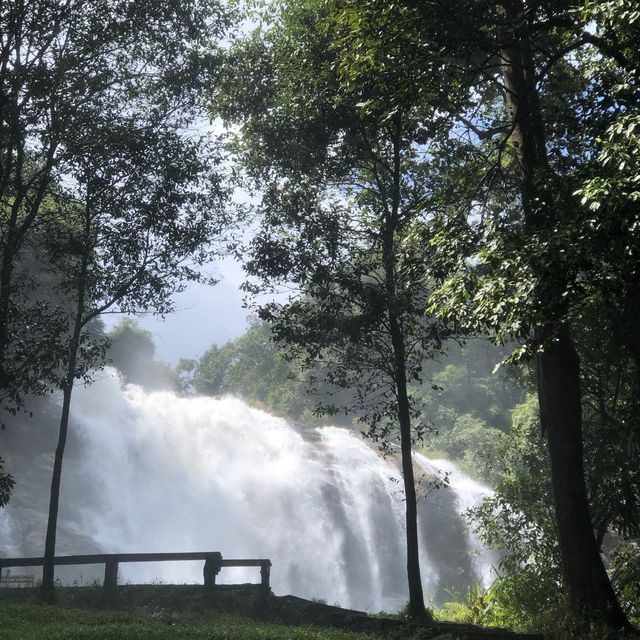 breathtaking waterfall in the national park 