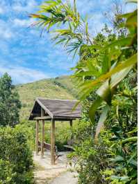 西貢浪茄灣萬宜水庫方向