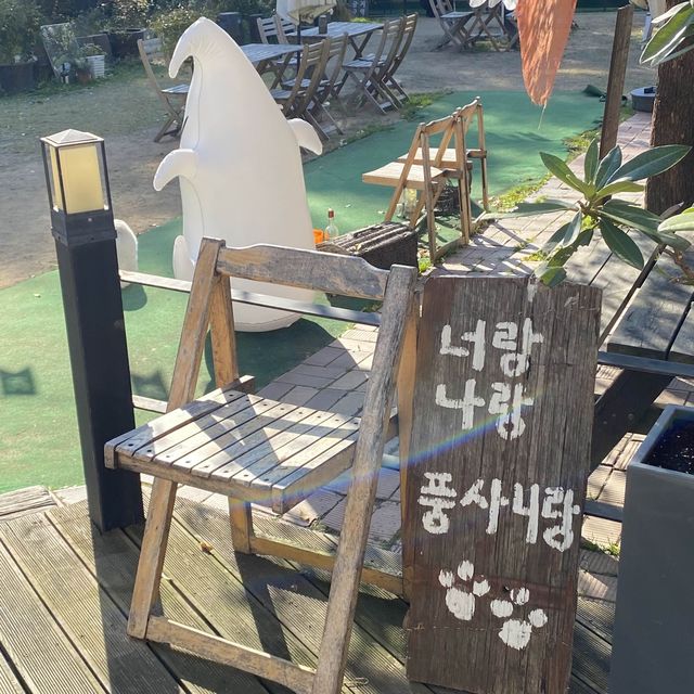 풍산개의 매력에 빠질 수 있는 곳