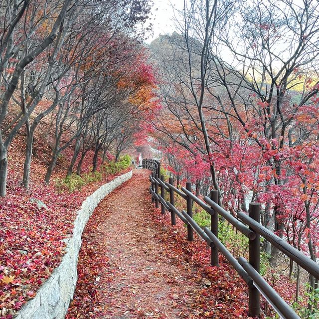 어느새 늦어버린 가을, 철암단풍명소 방문