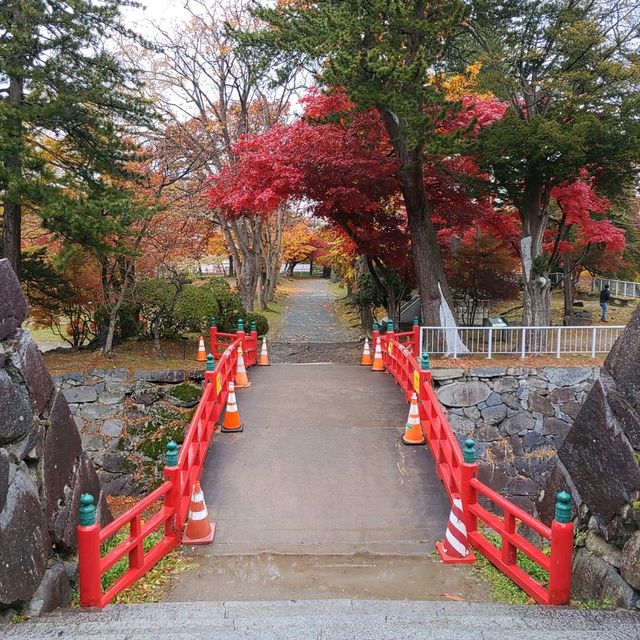 岩手県！盛岡城跡公園の紅葉