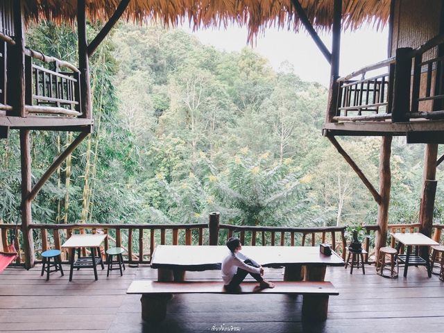 บ้านต้นไม้แม่แมะ Tree House Hideaway